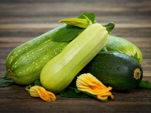 Fas Tarım Kabak Gübrelemesi